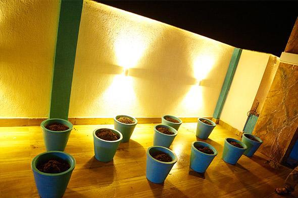Отель Tulip Continental Hamirgarh Экстерьер фото